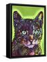 Watchful Cat-Dean Russo-Framed Stretched Canvas