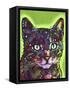 Watchful Cat-Dean Russo-Framed Stretched Canvas