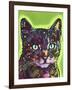 Watchful Cat-Dean Russo-Framed Giclee Print