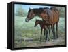 Watchful Eye-Jack Sorenson-Framed Stretched Canvas