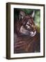 Watchful Eyes II-Jenny Newland-Framed Premium Giclee Print