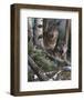 Watchful Eyes-Kevin Daniel-Framed Art Print