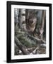 Watchful Eyes-Kevin Daniel-Framed Art Print