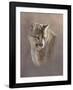 Watchful Eyes-Kalon Baughan-Framed Art Print