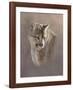 Watchful Eyes-Kalon Baughan-Framed Art Print