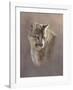 Watchful Eyes-Kalon Baughan-Framed Art Print