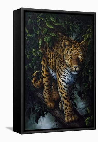 Watchful Eyes-Jenny Newland-Framed Stretched Canvas