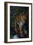 Watchful Eyes-Jenny Newland-Framed Premium Giclee Print