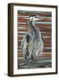 Watchful Heron I-Carolee Vitaletti-Framed Art Print