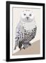 Watchful I-Kate Mawdsley-Framed Giclee Print