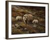 Watchful Mother-Trevor V. Swanson-Framed Giclee Print