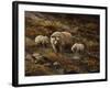 Watchful Mother-Trevor V. Swanson-Framed Giclee Print