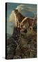 Watchful Sentry (Mountain Lions)-Kalon Baughan-Stretched Canvas
