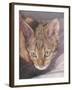 Watchful-Janet Pidoux-Framed Giclee Print