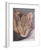 Watchful-Janet Pidoux-Framed Giclee Print