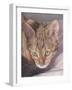 Watchful-Janet Pidoux-Framed Giclee Print