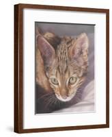 Watchful-Janet Pidoux-Framed Giclee Print