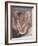 Watchful-Janet Pidoux-Framed Giclee Print