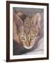 Watchful-Janet Pidoux-Framed Giclee Print