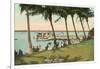 Watching Boat Races, Palm Beach, Florida-null-Framed Art Print