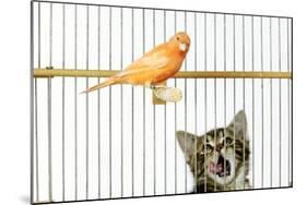 Watching Caged Canary Bird, Licking Lips-null-Mounted Photographic Print