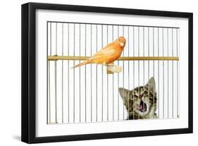 Watching Caged Canary Bird, Licking Lips-null-Framed Photographic Print