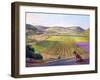 Watching from the Walls, Old Provence, 1993-Timothy Easton-Framed Giclee Print