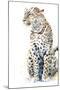 Watching Leopard-Hazel Soan-Mounted Giclee Print