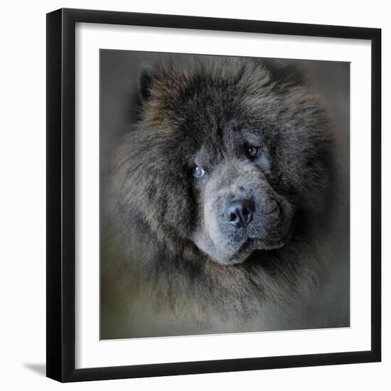 Watching Master Blue Chow Chow-Jai Johnson-Framed Premium Giclee Print