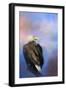 Watching over the Heavens-Jai Johnson-Framed Premium Giclee Print