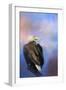 Watching over the Heavens-Jai Johnson-Framed Premium Giclee Print