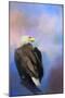 Watching over the Heavens-Jai Johnson-Mounted Premium Giclee Print