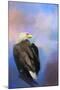 Watching over the Heavens-Jai Johnson-Mounted Giclee Print