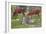 Watching the Cows-Theodore Robinson-Framed Giclee Print