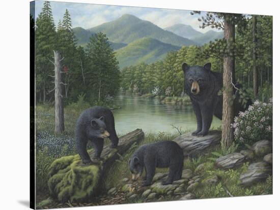 Watching the Cubs Play-Robert Wavra-Stretched Canvas