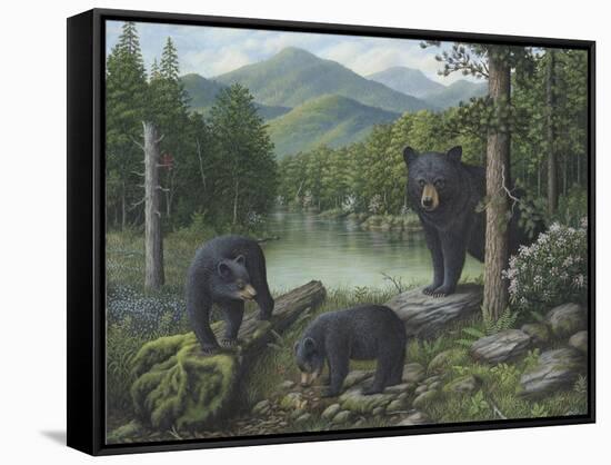 Watching the Cubs Play-Robert Wavra-Framed Stretched Canvas