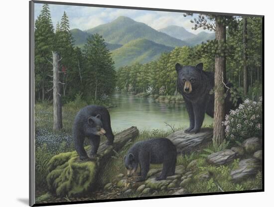 Watching the Cubs Play-Robert Wavra-Mounted Giclee Print