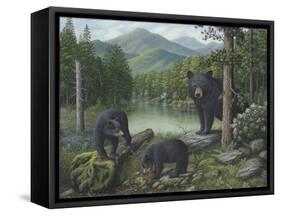 Watching the Cubs Play-Robert Wavra-Framed Stretched Canvas