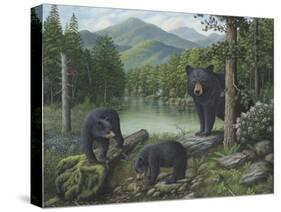 Watching the Cubs Play-Robert Wavra-Stretched Canvas