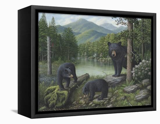 Watching the Cubs Play-Robert Wavra-Framed Stretched Canvas