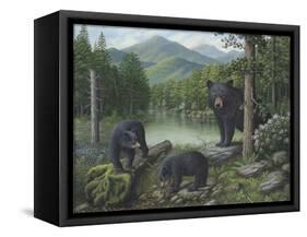 Watching the Cubs Play-Robert Wavra-Framed Stretched Canvas