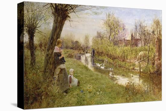 Watching the Ducks, 1890-Thomas James Lloyd-Stretched Canvas