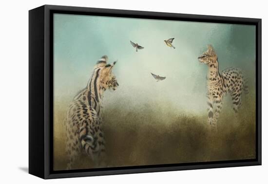 Watching the Waxwings-Jai Johnson-Framed Stretched Canvas