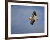 Watching the World from Above-Jai Johnson-Framed Giclee Print