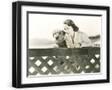 Black Frame