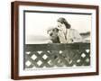 Brown Frame