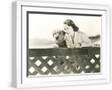 White Frame