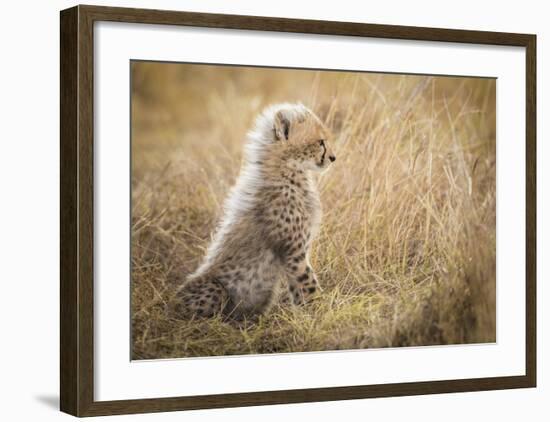 Watching You Mom-Faisal Alnomas-Framed Giclee Print