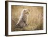 Watching You Mom-Faisal Alnomas-Framed Giclee Print