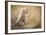 Watching You Mom-Faisal Alnomas-Framed Giclee Print